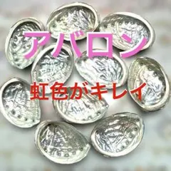 ❣️アワビアバロン貝殻10枚セットa虹色がキレイ❣️日本海近海❣️