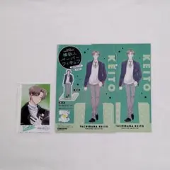 多聞くん今どっち!? 橘敬斗 ペーパーフィギュア ミニフォト