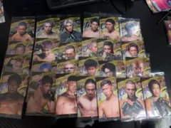 RIZIN　ウエハース　ノーマルコンプリートセット