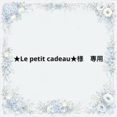 ★Le petit cadeau★様　専用