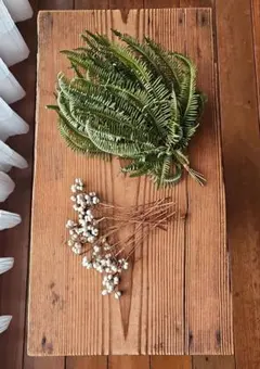 Item thumbnail for item 15d53df7-36d5-4618-80db-d9e957f4355b