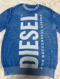 【DIESEL】定価46000円／綿100%／ブランドロゴニット／美品／14Yのサムネイル