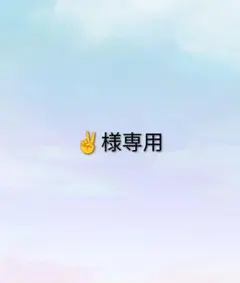 ✌︎様専用ページ