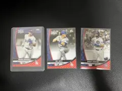 Item thumbnail for item d7e65239-b819-4c6d-a1d0-9875425c1f4c