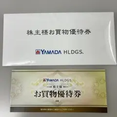 ヤマダ電機　お買物優待券 6枚　3000円分