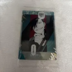 鋼の錬金術師 ウエハース カード グリード(リン)