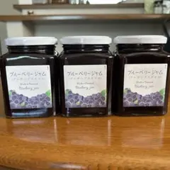 Item thumbnail for item e3365fe4-bda1-4e4b-a95d-d4cc79154346