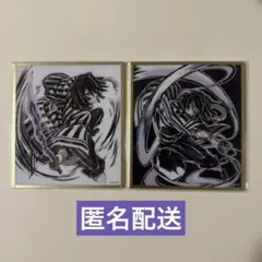 鬼滅の刃 Webshopくじ アクリル色紙 伊黒小芭内 セット - メルカリ