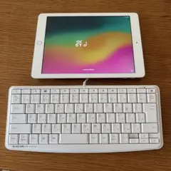 Apple iPad シルバー 本体＋有線キーボード