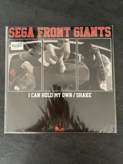 2026年最新】SEGA front giantsの人気アイテム - メルカリ