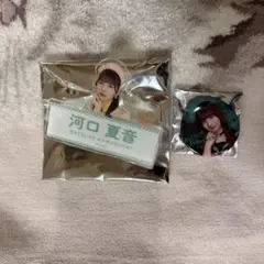 Item thumbnail for item b32dfd64-d498-4ade-9cbd-6b861860adf1