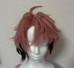 にじさんじ 赤城ウェン コスプレ ウィッグ - メルカリ