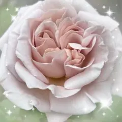 nori様 リクエスト 2点 まとめ商品