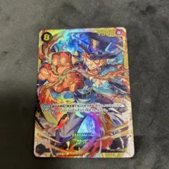 サボ　シークレット　SEC