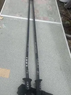 Item thumbnail for item 0bbf76e2-f997-40f3-bd54-35d40a7ed311