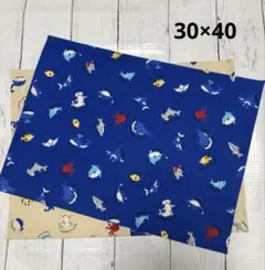 ハンドメイド　ランチマット 海の生き物2枚