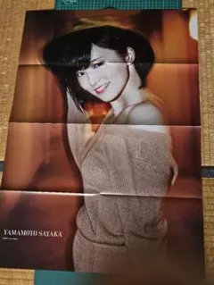 Item thumbnail for item 1769cda5-2898-41d2-986c-f9f2d4677043