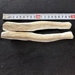 中型犬用５８、生角使用ドッグガム‼️蝦夷鹿の角四つ割り２本セット、カミカミおもちゃのサムネイル