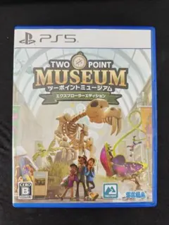 TWO POINT MUSEUM PS5