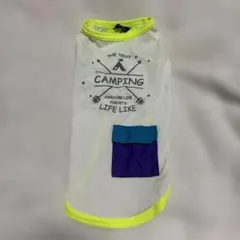 Item thumbnail for item a4c7a81f-0d3c-458e-aef5-da423fbc7933