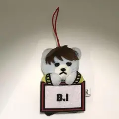 iKON ジナン　ぬいぐるみ iKON ジナン JAY ぬいぐるみ 20cm ドール - メルカリ