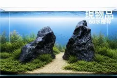 2026年最新】龍王石 親石の人気アイテム - メルカリ