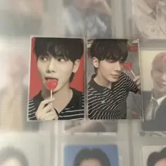 txt カンテ トレカ Sanctuary