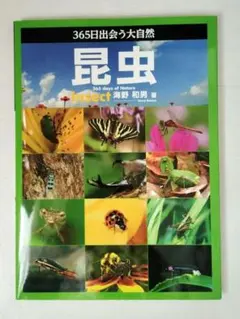 昆虫 = Insect : 365日出会う大自然