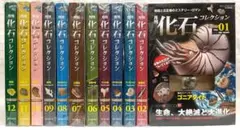 月刊化石コレクション 全12巻セット 月刊化石コレクション 全12巻セット - メルカリ