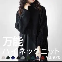 アンティカ　万能ハイネックニット ニット　ブラック完売