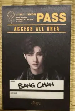 Stray Kids スキズ バンチャン　ステッカー　8枚 2025年最新】stray kids バンチャン ステッカーの人気アイテム - メルカリ