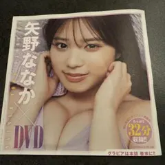 グランドジャンプ2025年23号★特別付録★矢野ななか★DVD1枚★非売品