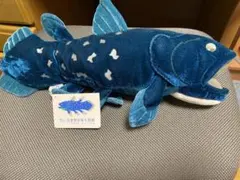 カロラータ シーラカンス　ぬいぐるみ　沼津深海水族館限定　Mサイズ