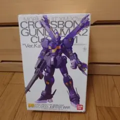 2026年最新】1/100 MG XM-X2 クロスボーンガンダムX2 Ver.Ka 「機動