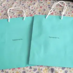 Tiffany & Co. ティファニーブルー ショッピングバッグ2枚セット