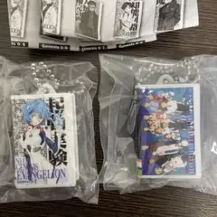 新世紀エヴァンゲリオン　ビデオテープミニチュアチャーム　綾波レイ　最終回