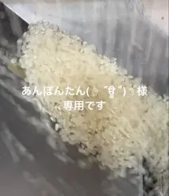 送料無料 一等検査 玄米 令和7年産 京都 丹後 コシヒカリ 20kg - メルカリ