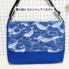 【受注製作】図書袋　絵本袋　通園バッグ　ショルダーバッグ