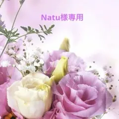 リクエスト商品　2点　ユキエモン　L字マルチポーチ(大きめ)