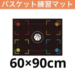 バスケットボール トレーニングマット 室内練習 フットワーク ドリブル ステップ