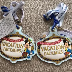 ディズニーリゾートチケットホルダー2個セット⭐︎