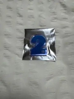超特急 カイ ペンライトアクセサリー