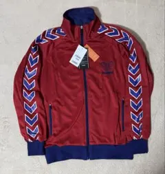 Item thumbnail for item 1c15c615-cc33-42ec-a3dd-c23a32b63616