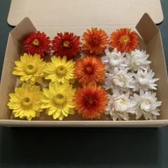 78・ヘリクリサムドライフラワー　花材　リース　ハーバリウム　貝細工のサムネイル