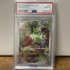 ニャオハ AR PSA10のサムネイル