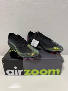 Item thumbnail for item 907b2aee-94b6-431d-a804-211067338043