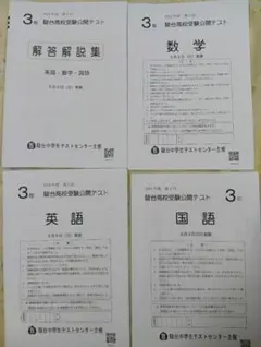 駿台高校受験公開テスト 駿台模試 中3 第5回 2025年 3科目 早稲アカ