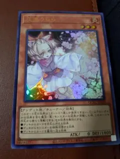 期間限定【ホロレア】灰流うらら(レアコレ)日本語カード Amazon.co.jp: 遊戯王カード 灰流うらら(ホログラフィックレア