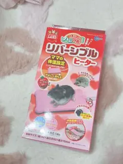 Item thumbnail for item 48d91f2d-d25f-48e0-9e45-ac9d911abd24