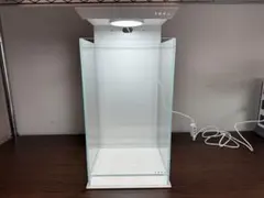 2025年最新】dooa ネオグラスエアの人気アイテム - メルカリ